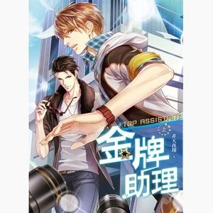 金牌助理(出书版)