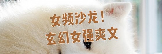 女频沙龙！玄幻女强爽文